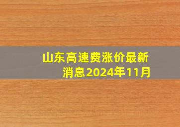 山东高速费涨价最新消息2024年11月