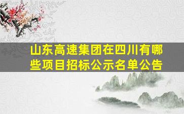 山东高速集团在四川有哪些项目招标公示名单公告