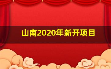 山南2020年新开项目