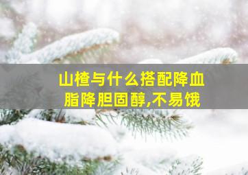 山楂与什么搭配降血脂降胆固醇,不易饿