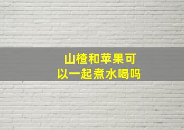 山楂和苹果可以一起煮水喝吗