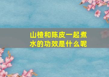 山楂和陈皮一起煮水的功效是什么呢