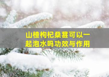 山楂枸杞桑葚可以一起泡水吗功效与作用