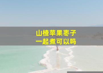 山楂苹果枣子一起煮可以吗