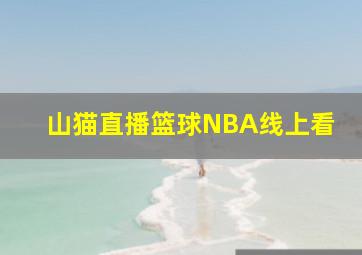 山猫直播篮球NBA线上看