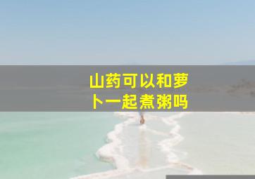 山药可以和萝卜一起煮粥吗