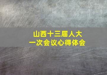 山西十三届人大一次会议心得体会