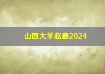 山西大学赵鑫2024