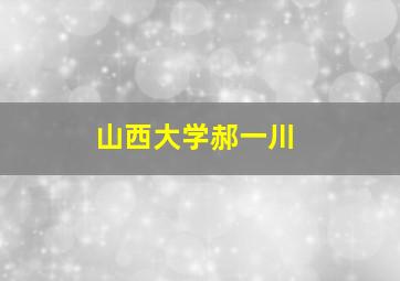 山西大学郝一川