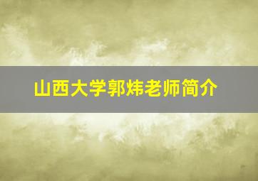 山西大学郭炜老师简介