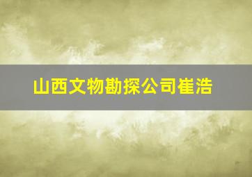 山西文物勘探公司崔浩