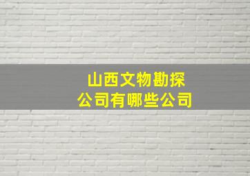 山西文物勘探公司有哪些公司