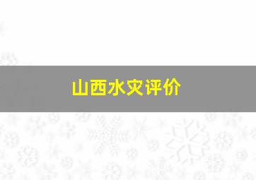 山西水灾评价