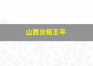 山西汾阳王平