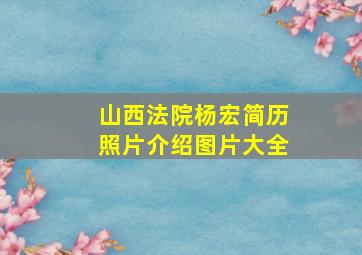 山西法院杨宏简历照片介绍图片大全