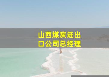 山西煤炭进出口公司总经理