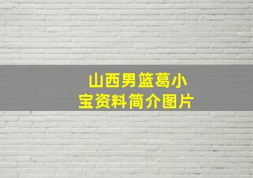 山西男篮葛小宝资料简介图片