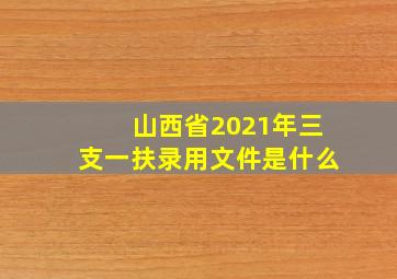 山西省2021年三支一扶录用文件是什么