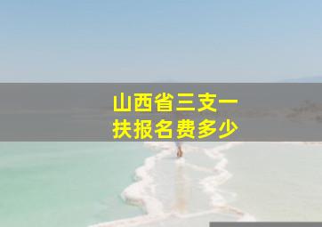 山西省三支一扶报名费多少