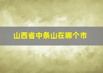 山西省中条山在哪个市