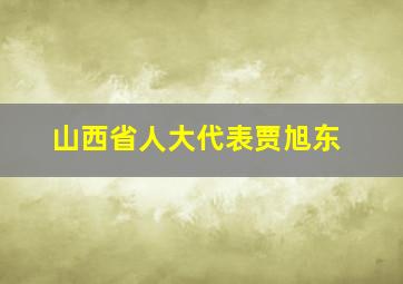 山西省人大代表贾旭东