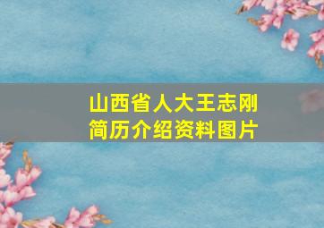 山西省人大王志刚简历介绍资料图片