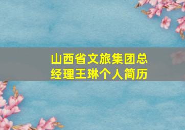 山西省文旅集团总经理王琳个人简历