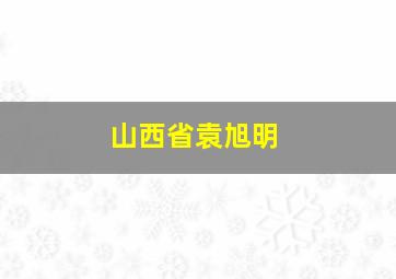 山西省袁旭明