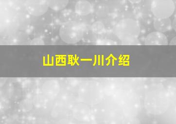 山西耿一川介绍