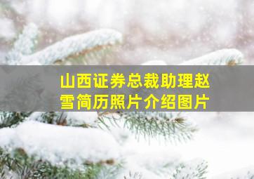 山西证券总裁助理赵雪简历照片介绍图片