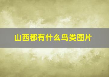 山西都有什么鸟类图片