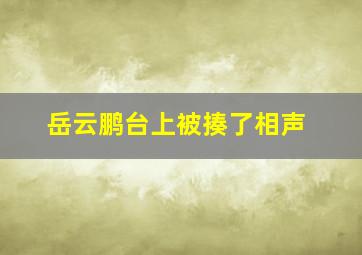 岳云鹏台上被揍了相声