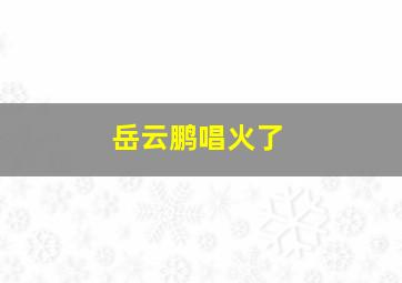 岳云鹏唱火了