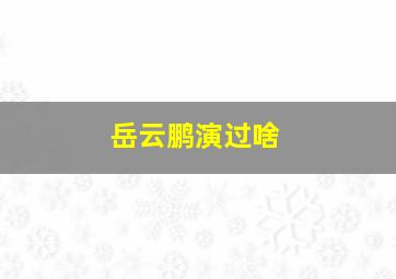 岳云鹏演过啥