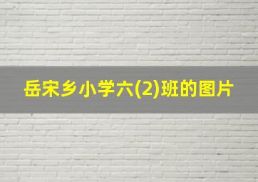 岳宋乡小学六(2)班的图片