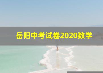 岳阳中考试卷2020数学