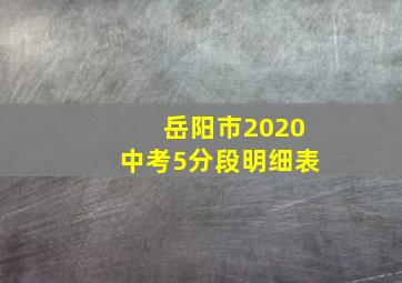 岳阳市2020中考5分段明细表