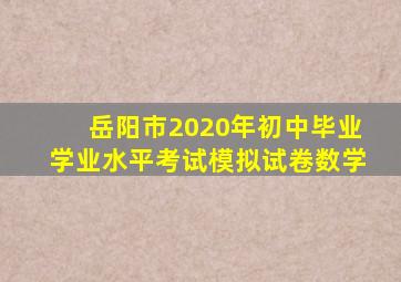 岳阳市2020年初中毕业学业水平考试模拟试卷数学