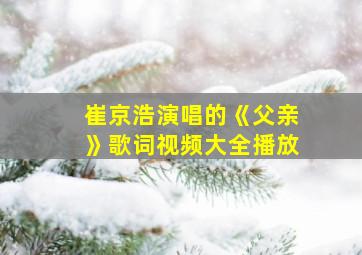 崔京浩演唱的《父亲》歌词视频大全播放