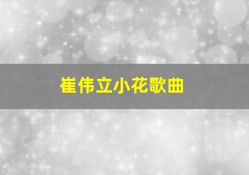 崔伟立小花歌曲