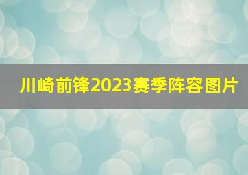 川崎前锋2023赛季阵容图片