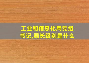 工业和信息化局党组书记,局长级别是什么