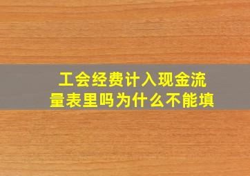 工会经费计入现金流量表里吗为什么不能填