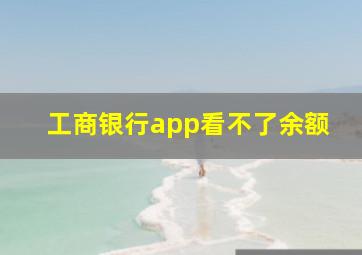 工商银行app看不了余额