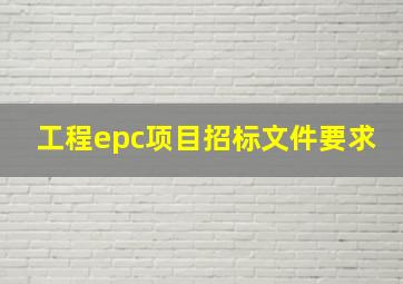 工程epc项目招标文件要求