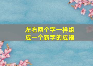 左右两个字一样组成一个新字的成语