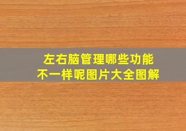 左右脑管理哪些功能不一样呢图片大全图解