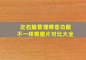 左右脑管理哪些功能不一样呢图片对比大全