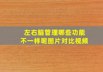 左右脑管理哪些功能不一样呢图片对比视频