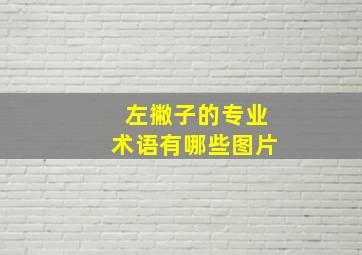 左撇子的专业术语有哪些图片